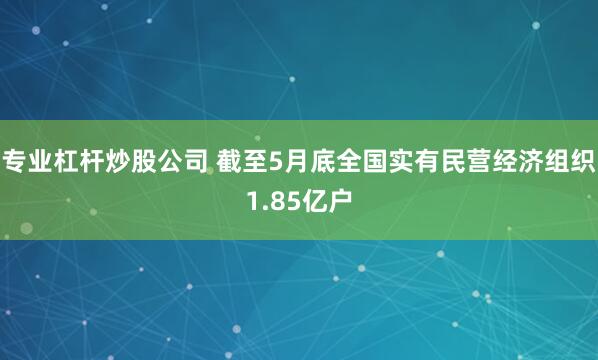 专业杠杆炒股公司 截至5月底全国实有民营经济组织1.85亿户